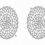 flower_maze6 flower_maze6