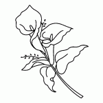 דף צביעה פרחים 66