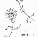 דף צביעה פרחים 12