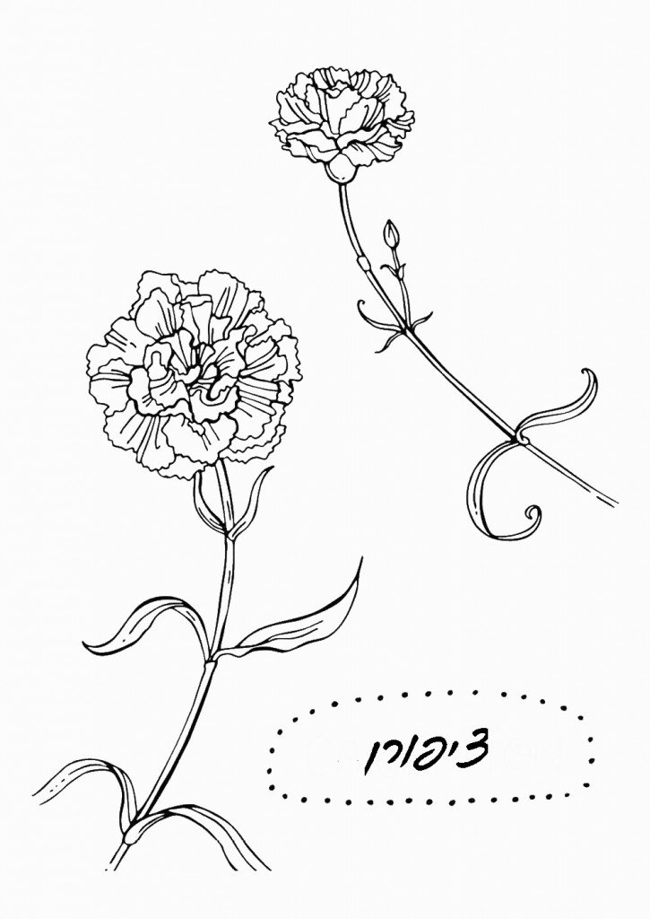 דף צביעה פרחים 12