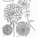 דף צביעה פרחים 11