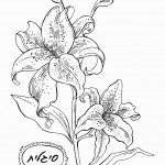 דף צביעה פרחים 7