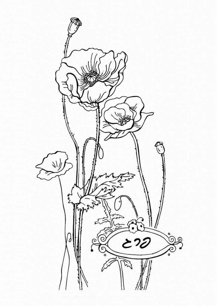 דף צביעה פרחים 6