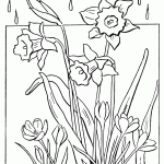 דף צביעה פרחים 76