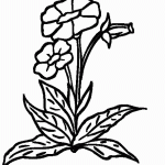 דף צביעה פרחים 63