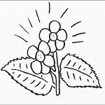 דף צביעה פרחים 57
