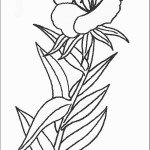 דף צביעה פרחים 52