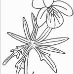 דף צביעה פרחים 51