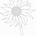 דף צביעה פרחים 68