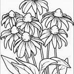 דף צביעה פרחים 50