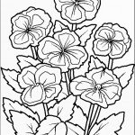 דף צביעה פרחים 46