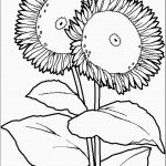 דף צביעה פרחים 41