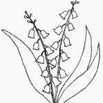 דף צביעה פרחים 37