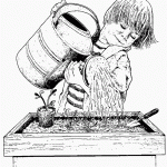 דף צביעה פרחים 36