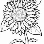 דף צביעה פרחים 32