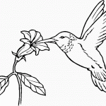 דף צביעה פרחים 31