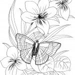 דף צביעה פרחים 74