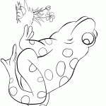 דף צביעה צפרדע 10 דף צביעה צפרדע 10