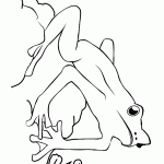 דף צביעה צפרדע 4 דף צביעה צפרדע 4