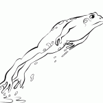 דף צביעה צפרדע מנתרת מן הביצה דף צביעה צפרדע מנתרת מן הביצה