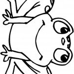 דף צביעה צפרדע 2 דף צביעה צפרדע 2
