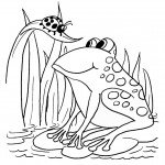 דף צביעה מפגש בין צפרדע לחיפושית דף צביעה מפגש בין צפרדע לחיפושית