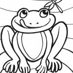 דף צביעה צפרדע חושק בפרפר דף צביעה צפרדע חושק בפרפר