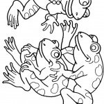 דף צביעה מפגש צפרדעים דף צביעה מפגש צפרדעים