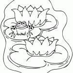 דף צביעה צפרדע על שושנת מים דף צביעה צפרדע על שושנת מים