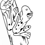 דף צביעה צפרדע יושבת על גזע עץ דף צביעה צפרדע יושבת על גזע עץ