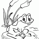 דף צביעה צפרדע 9 דף צביעה צפרדע 9