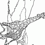 דף צביעה גירפה 12 דף צביעה גירפה 12