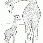 דף צביעה גירפה 11 דף צביעה גירפה 11