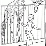 ילד מתבונן בג'ירפה בגן החיות ילד מתבונן בג'ירפה בגן החיות