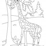 דף צביעה ג'ירפה 3 דף צביעה ג'ירפה 3