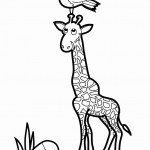 ציפור יושבת על ראש הג'ירפה ציפור יושבת על ראש הג'ירפה