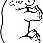 דף צביעה היפופוטם 2