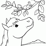 דף צביעה מפגש בין סוס לציפור