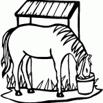 דף צביעה סוס 7