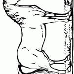 דף צביעה סוס 3