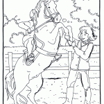 דף צביעה רוכבת מרסנת סוס