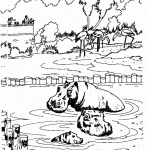 דף צביעה היפופוטם בספארי