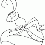 דף צביעה חגב 4