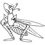 דף צביעה חרגול 2