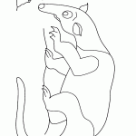 דב נמלים מאיים על נמלה