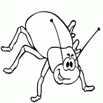 דף צביעה מקק 3