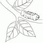 דף צביעה תולעת זוחלת על ענף