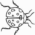 דף צביעה חיפושית 2