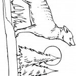 דף צביעה תן 13