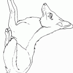 דף צביעה תן 10